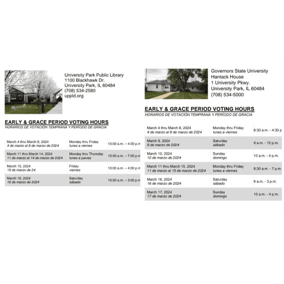 Early Voting 2024 1x1