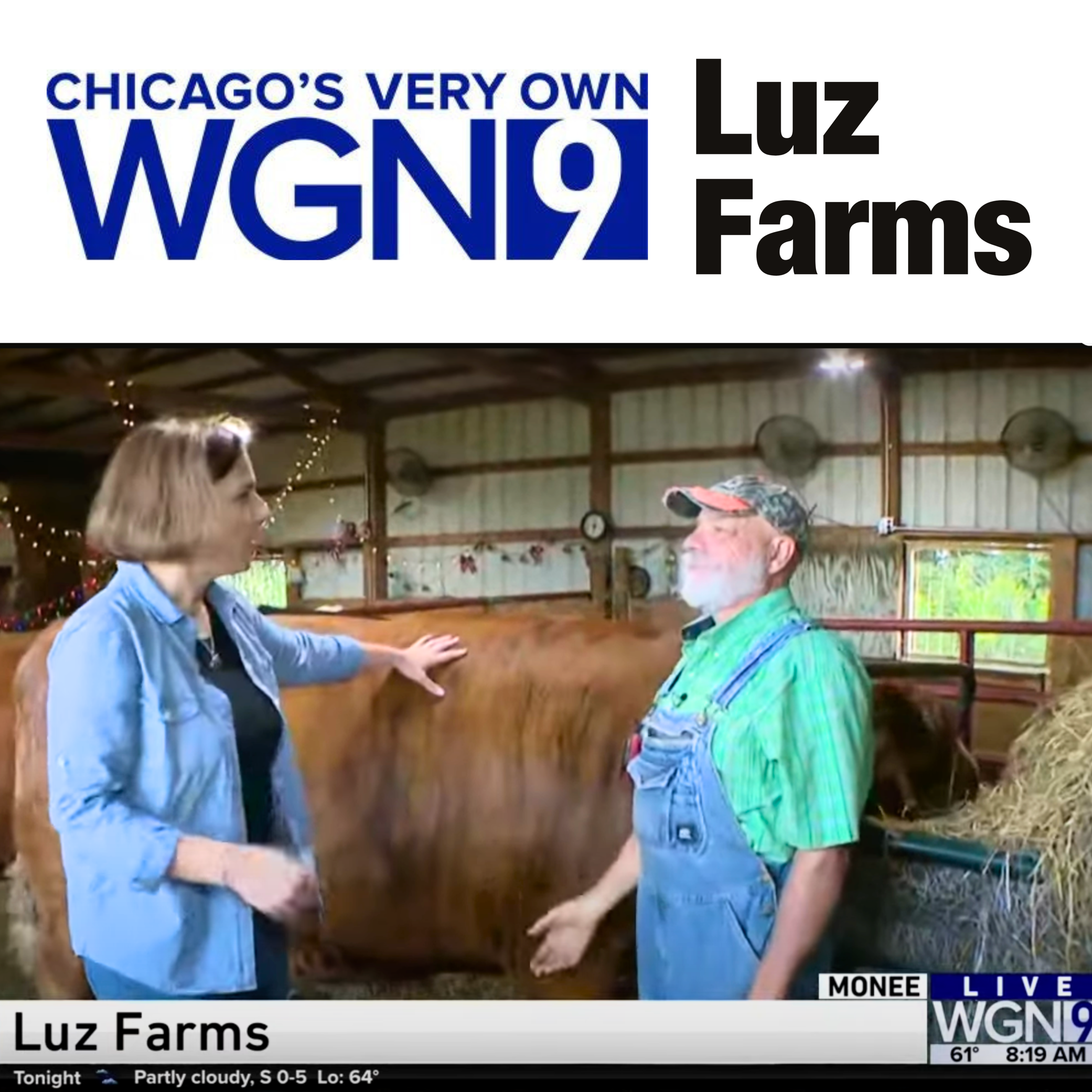 luz farms WGN